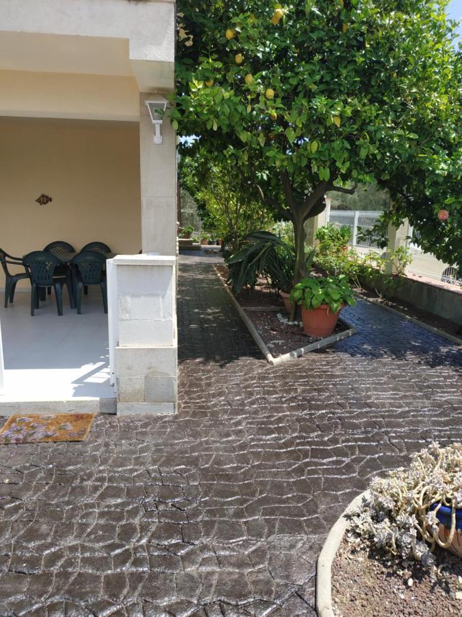 Les Oliveres De L'Emporda Bellcaire d'Emporda المظهر الخارجي الصورة